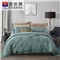 莱茵湖畔 床单四件套(被套1件床单1件枕套2件)(适合1.5米床)【A版：涤莫代尔提花；B版：纯棉/浅绿】