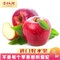 新西兰爱妃苹果脆甜当季顺丰整箱 礼盒装送礼 （65mm左右 250g/枚 12枚）